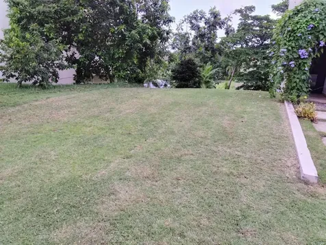 145 Montecarlo Humacao PR 00791