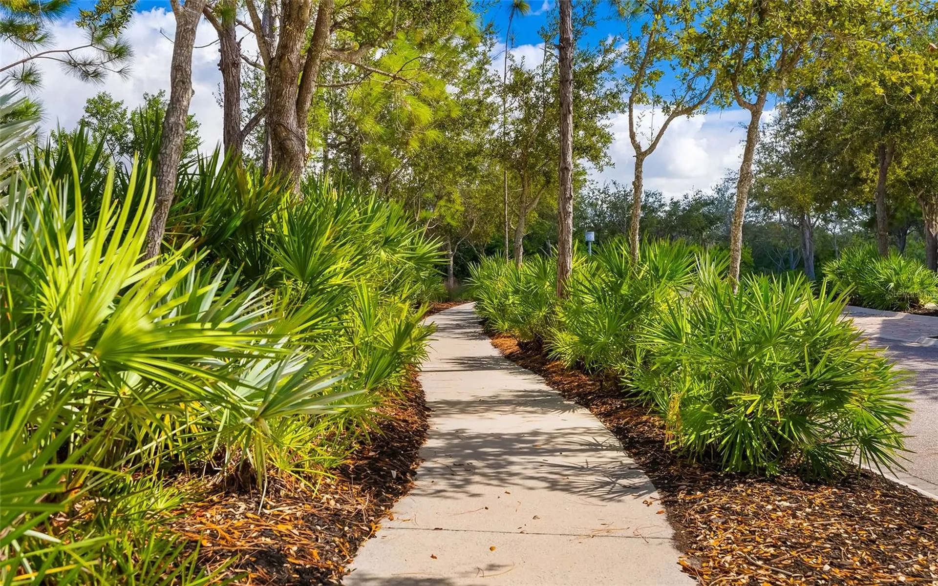 339 Sapphire Lake Drive Bradenton FL 34209