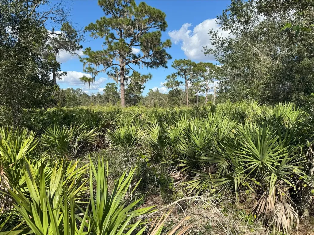 0 Alturas Babson Park Cut Off Road Bartow FL 33830