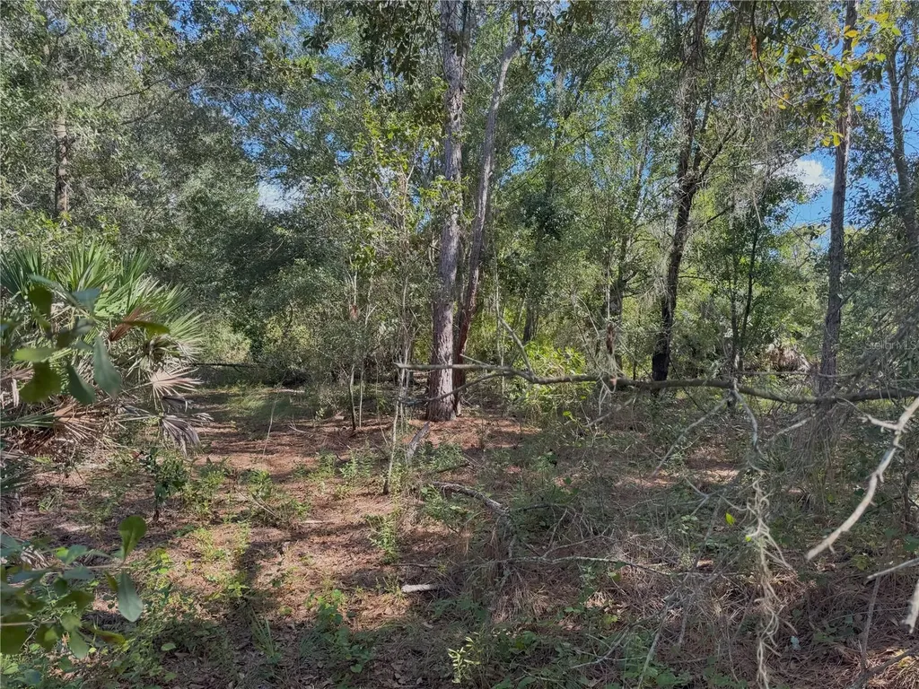 0 Alturas Babson Park Cut Off Road Bartow FL 33830