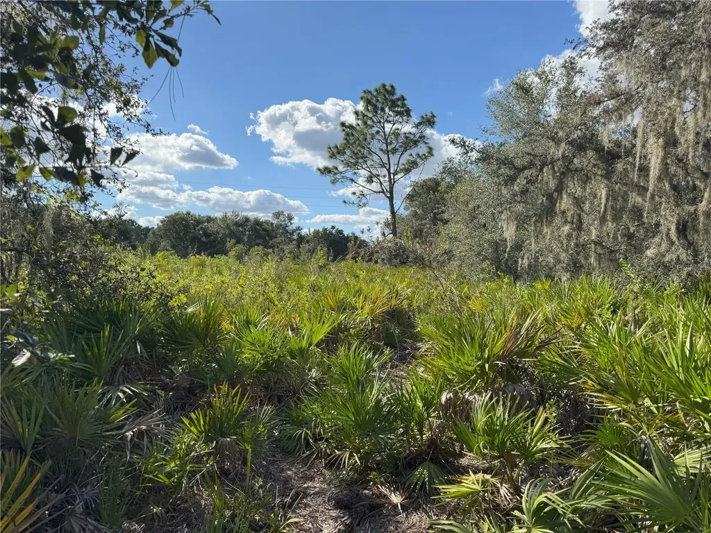0 Alturas Babson Park Cut Off Road Bartow FL 33830