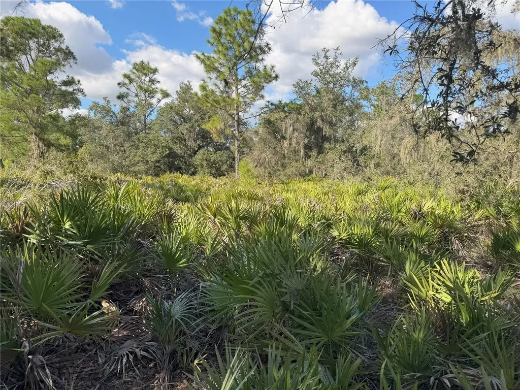 0 Alturas Babson Park Cut Off Road Bartow FL 33830