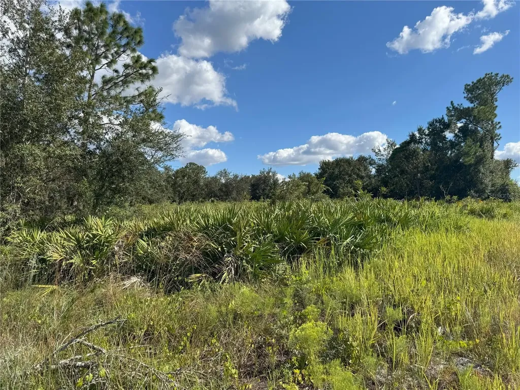 0 Alturas Babson Park Cut Off Road Bartow FL 33830