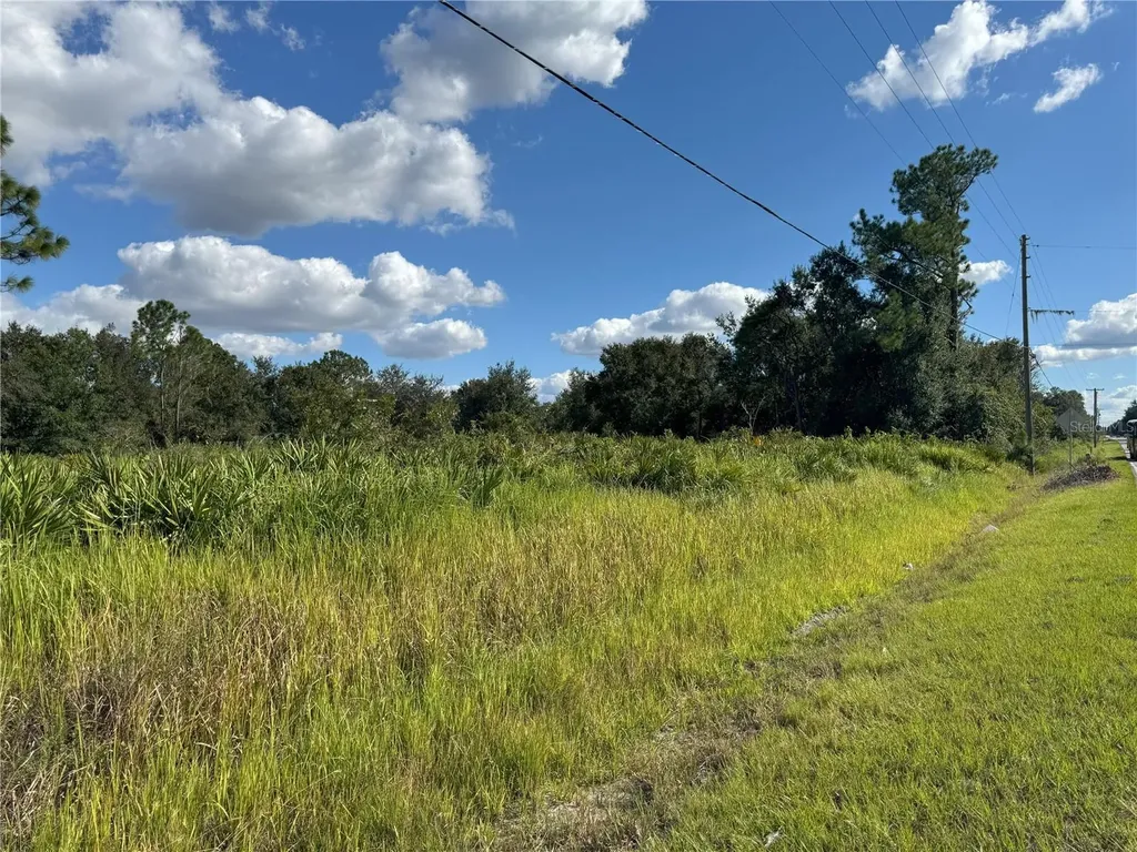 0 Alturas Babson Park Cut Off Road Bartow FL 33830