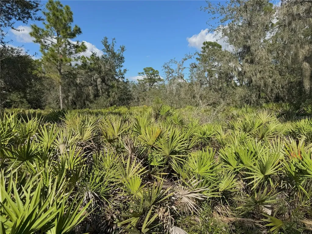0 Alturas Babson Park Cut Off Road Bartow FL 33830