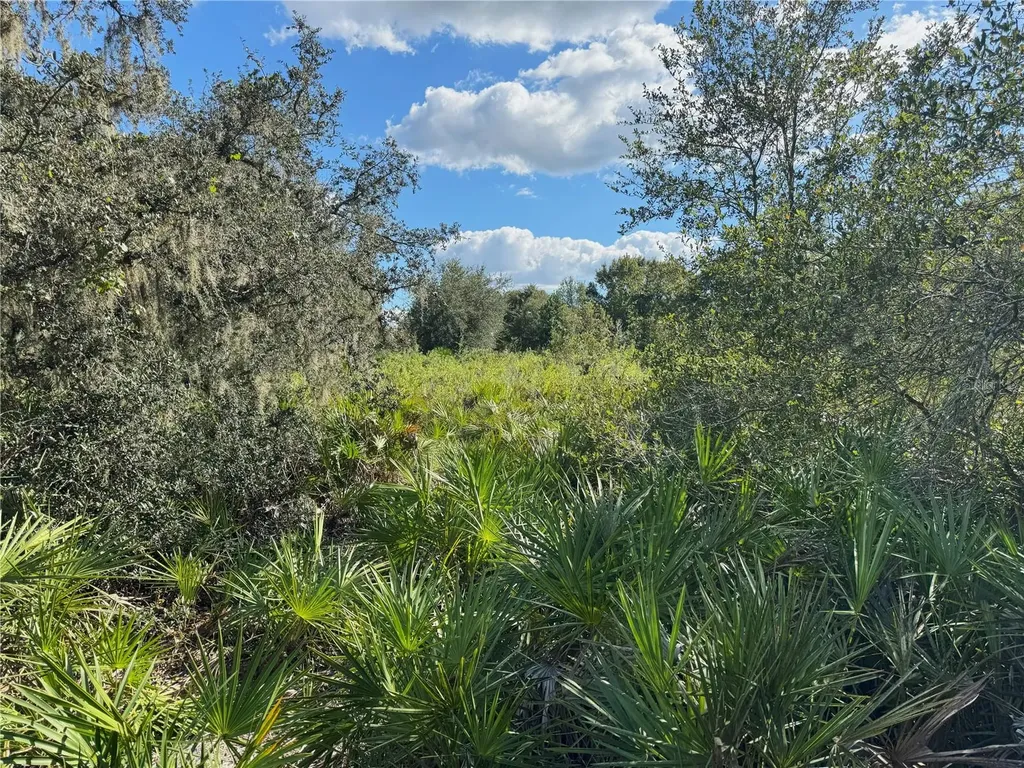 0 Alturas Babson Park Cut Off Road Bartow FL 33830