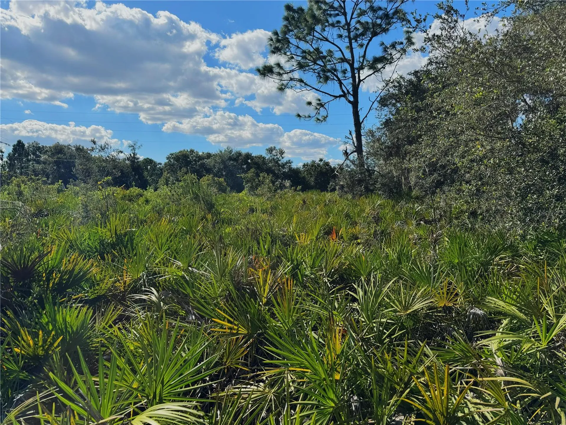 0 Alturas Babson Park Cut Off Road Bartow FL 33830