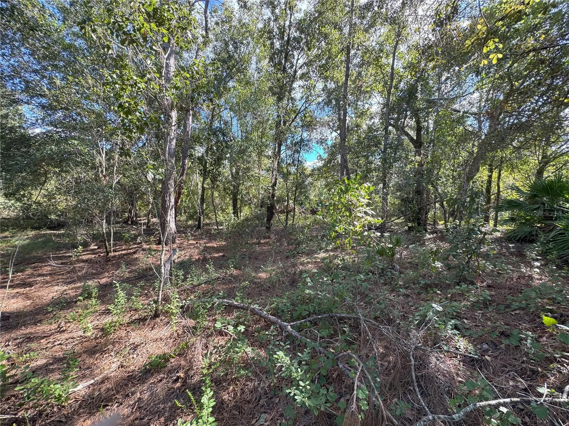 0 Alturas Babson Park Cut Off Road Bartow FL 33830