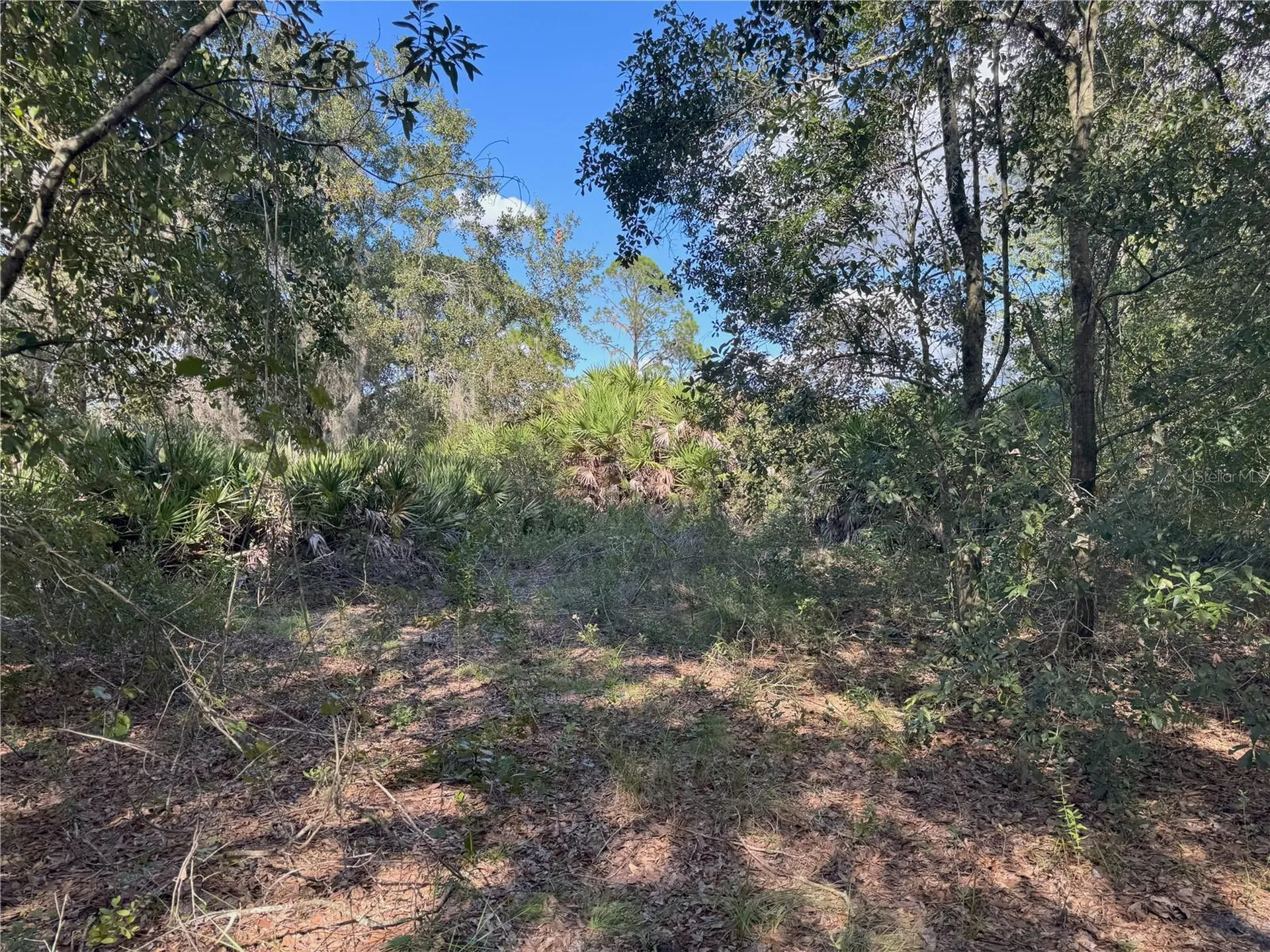 0 Alturas Babson Park Cut Off Road Bartow FL 33830