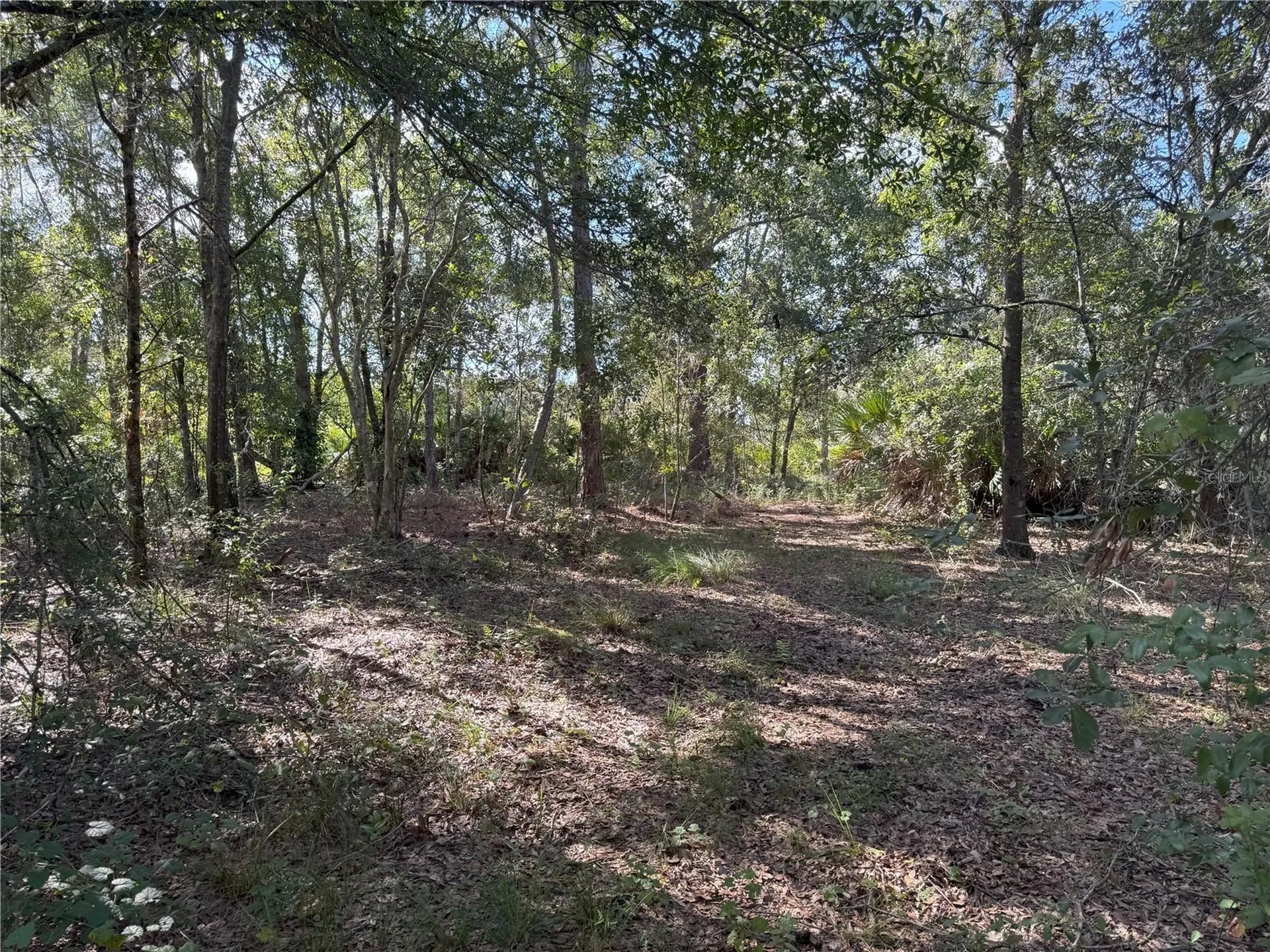 0 Alturas Babson Park Cut Off Road Bartow FL 33830