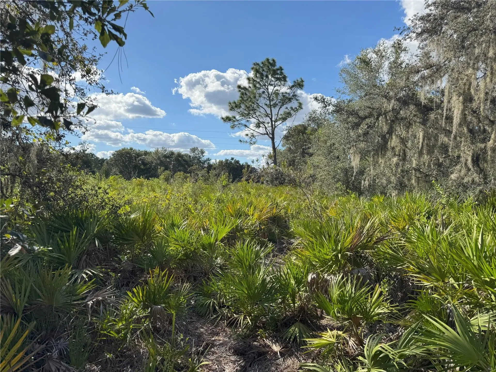 0 Alturas Babson Park Cut Off Road Bartow FL 33830