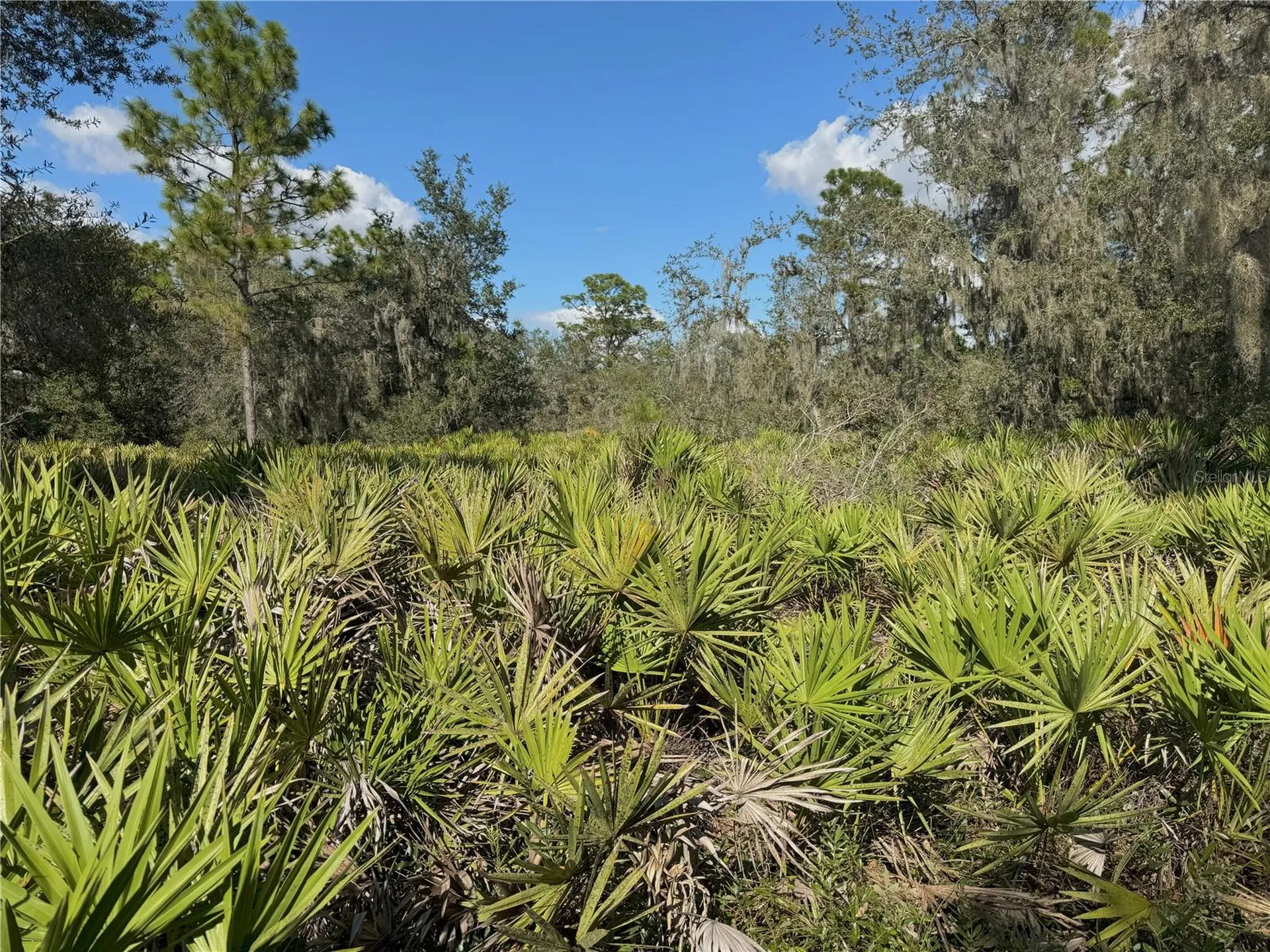 0 Alturas Babson Park Cut Off Road Bartow FL 33830