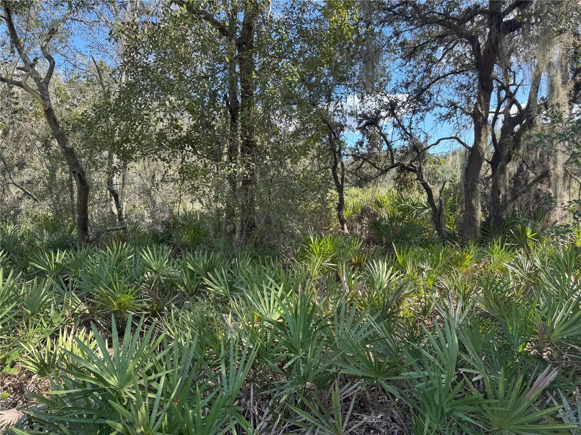 0 Alturas Babson Park Cut Off Road Bartow FL 33830