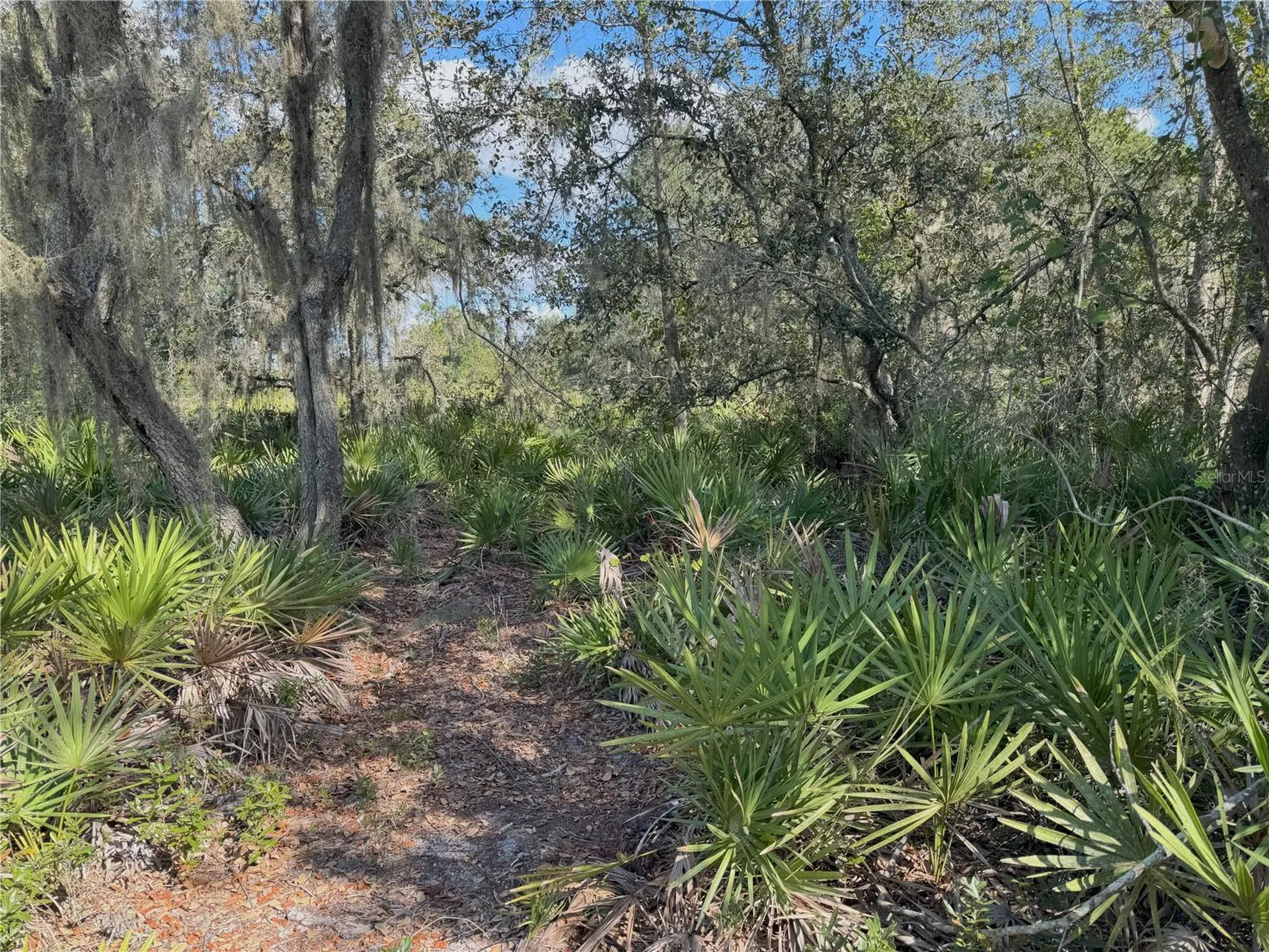 0 Alturas Babson Park Cut Off Road Bartow FL 33830