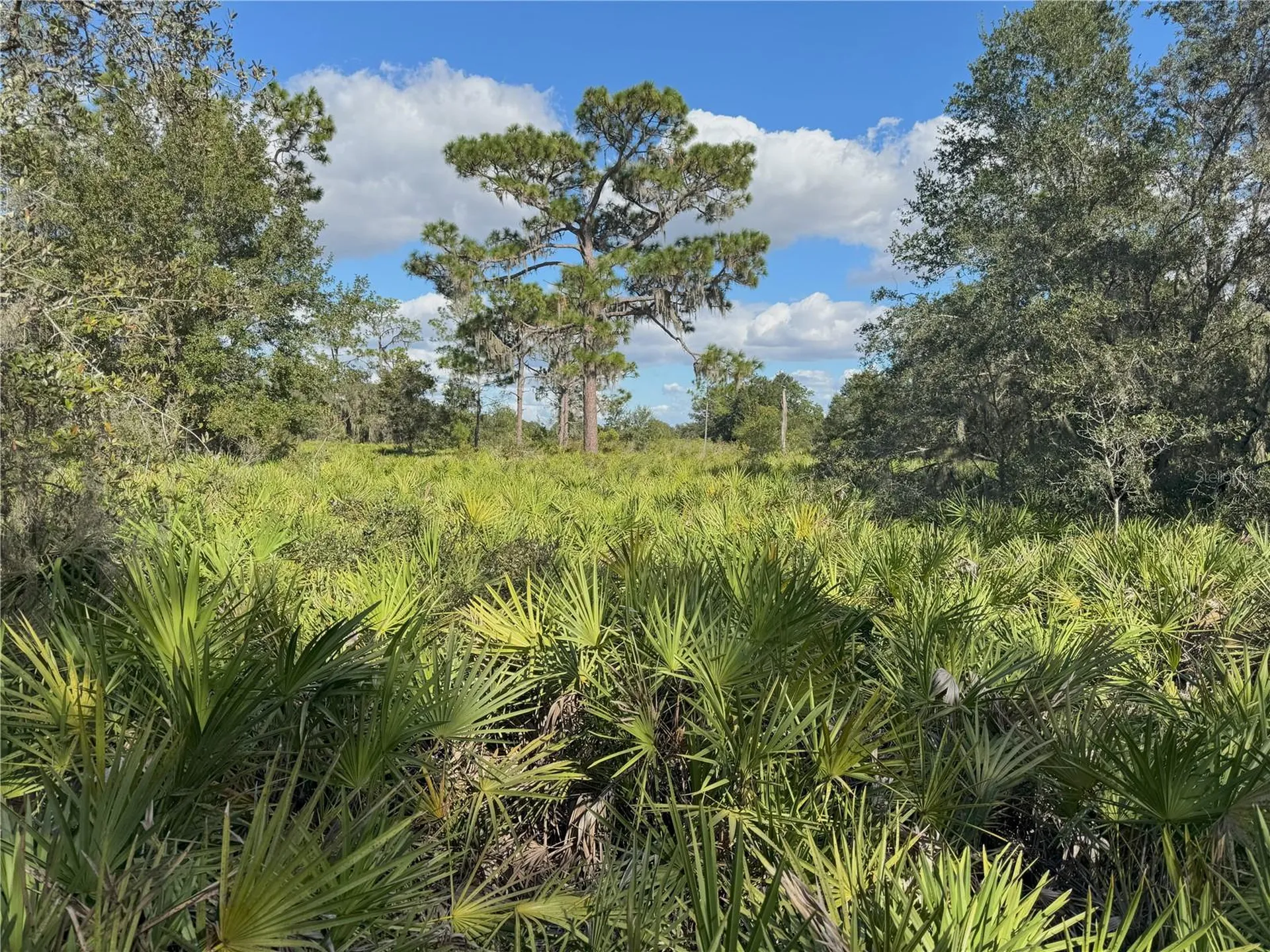 0 Alturas Babson Park Cut Off Road Bartow FL 33830