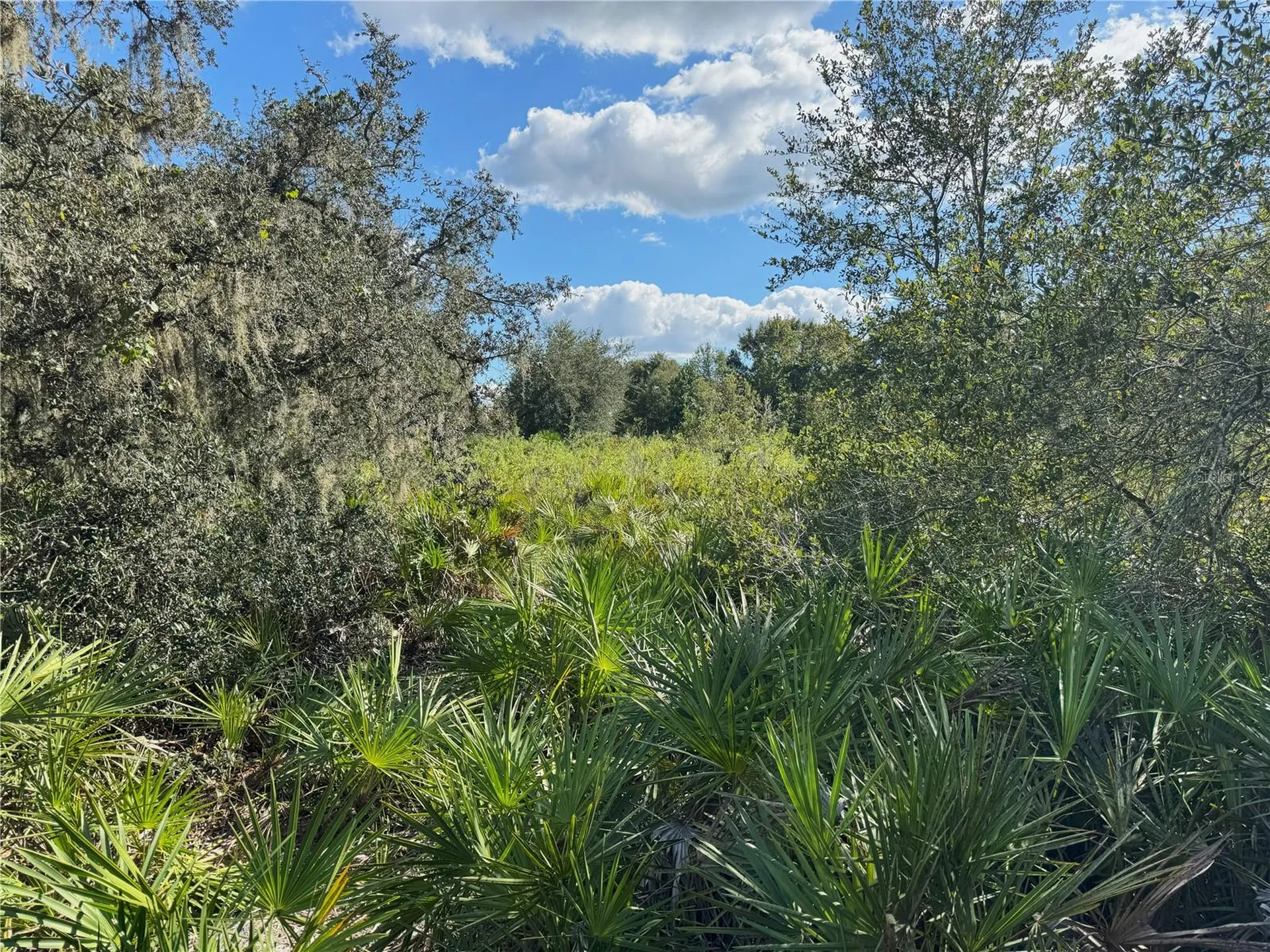 0 Alturas Babson Park Cut Off Road Bartow FL 33830