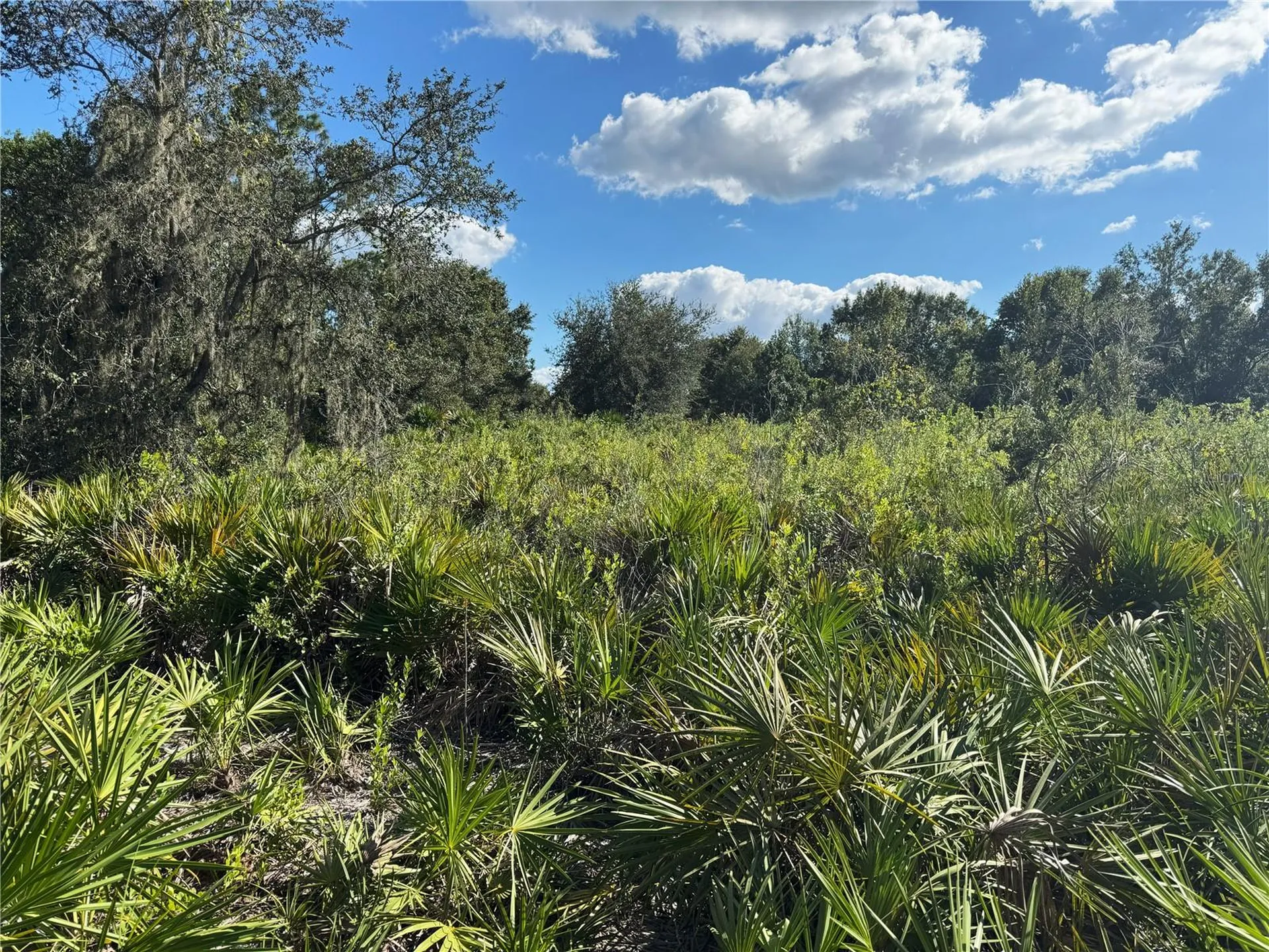 0 Alturas Babson Park Cut Off Road Bartow FL 33830