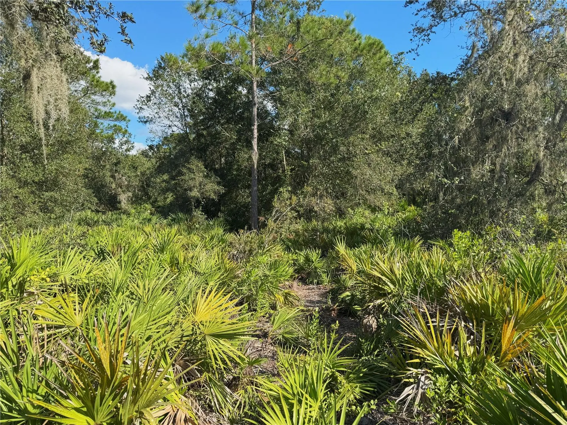0 Alturas Babson Park Cut Off Road Bartow FL 33830