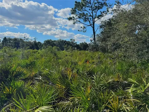 0 Alturas Babson Park Cut Off Road Bartow FL 33830