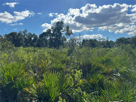 0 Alturas Babson Park Cut Off Road Bartow FL 33830