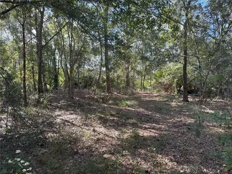0 Alturas Babson Park Cut Off Road Bartow FL 33830
