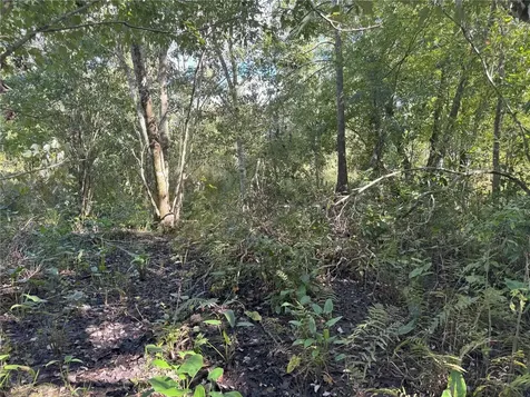 0 Alturas Babson Park Cut Off Road Bartow FL 33830