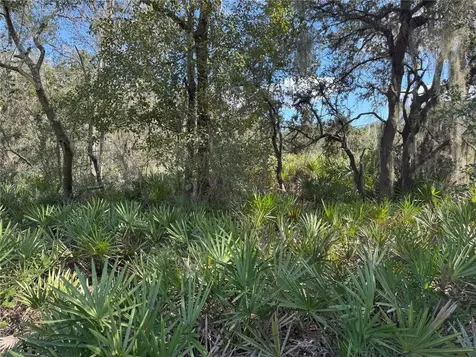 0 Alturas Babson Park Cut Off Road Bartow FL 33830