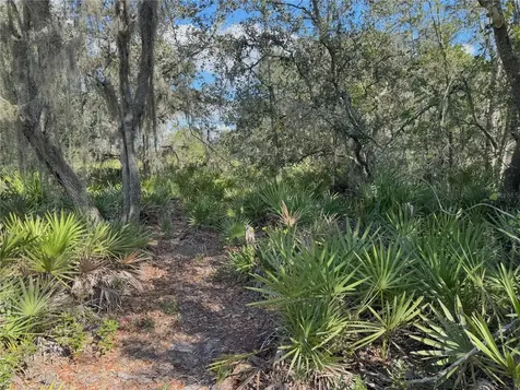 0 Alturas Babson Park Cut Off Road Bartow FL 33830