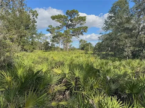 0 Alturas Babson Park Cut Off Road Bartow FL 33830