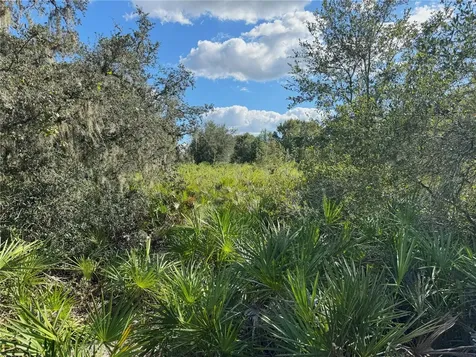 0 Alturas Babson Park Cut Off Road Bartow FL 33830
