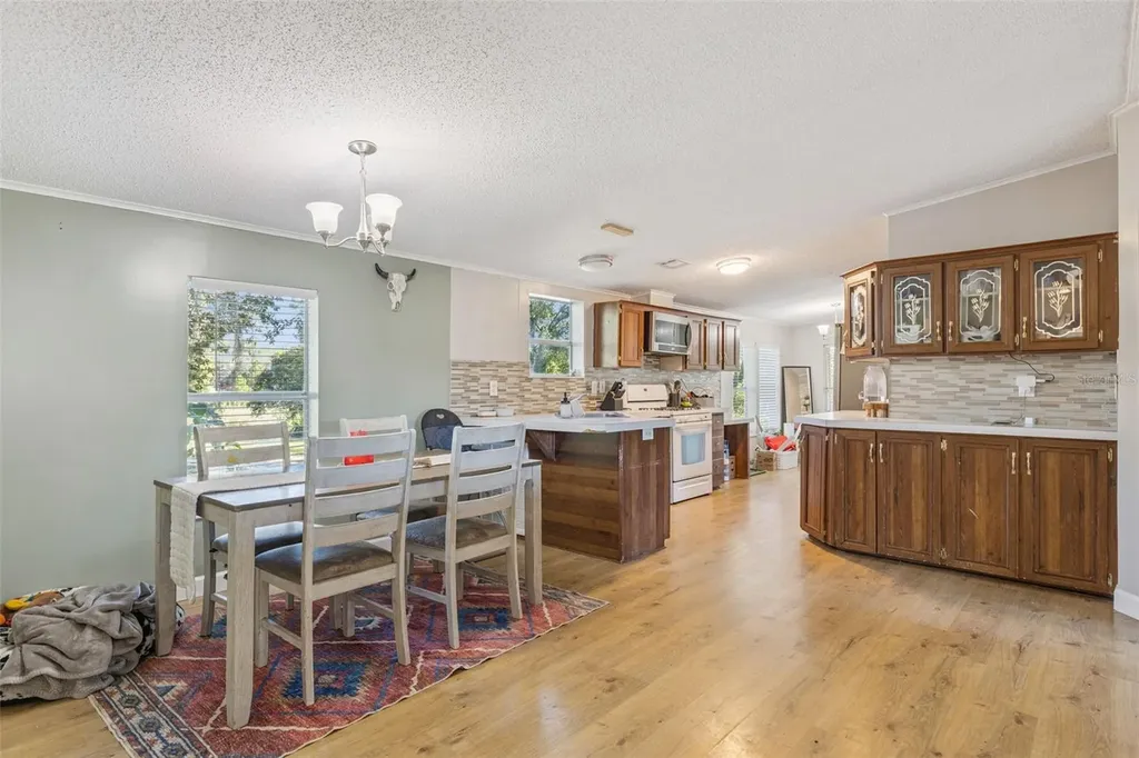 28405 SE 175th Street Umatilla FL 32784