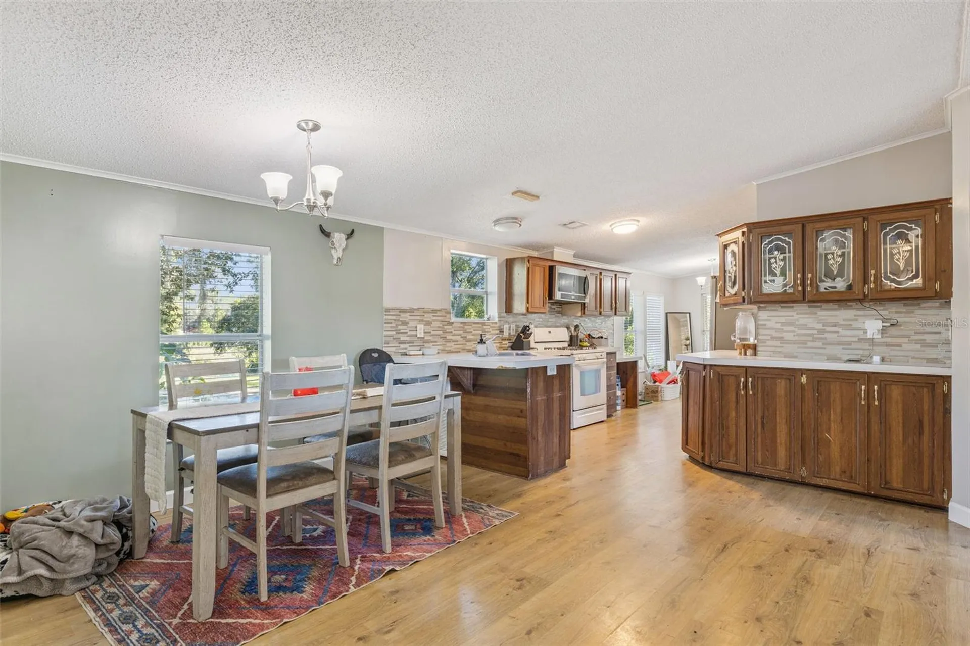 28405 SE 175th Street Umatilla FL 32784