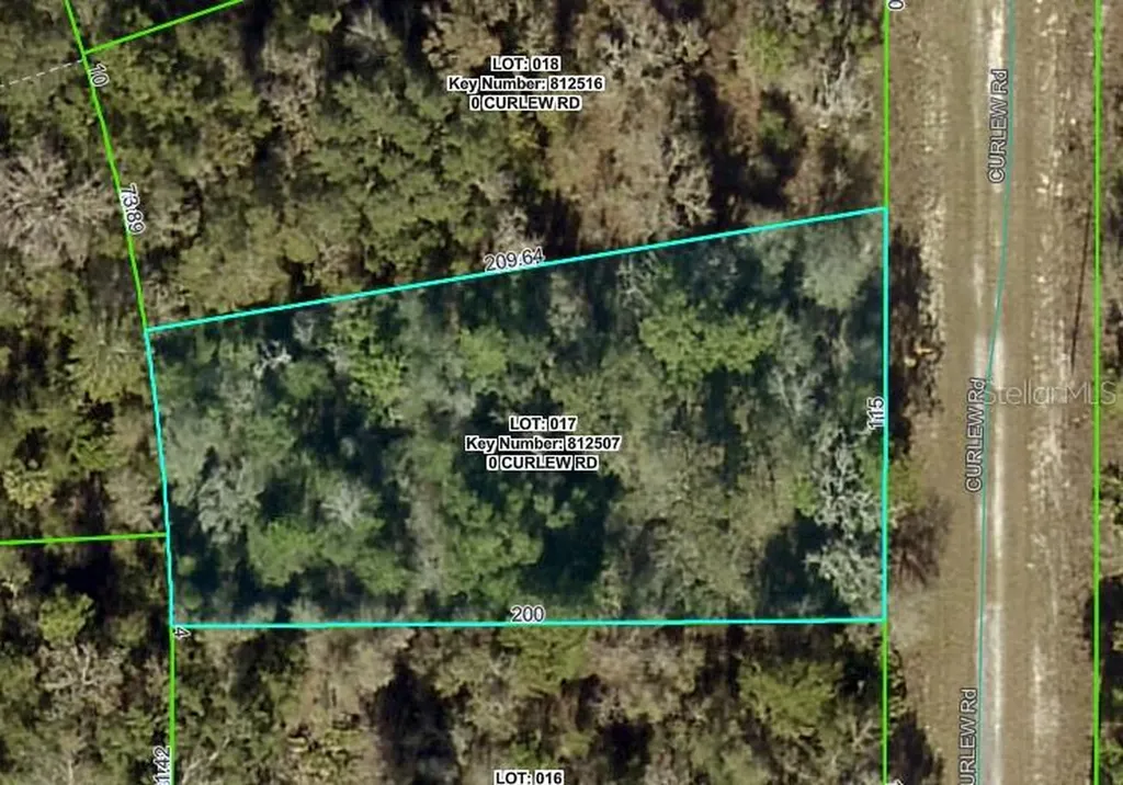 Curlew Road Brooksville FL 34614
