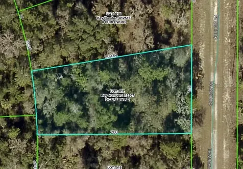 Curlew Road Brooksville FL 34614