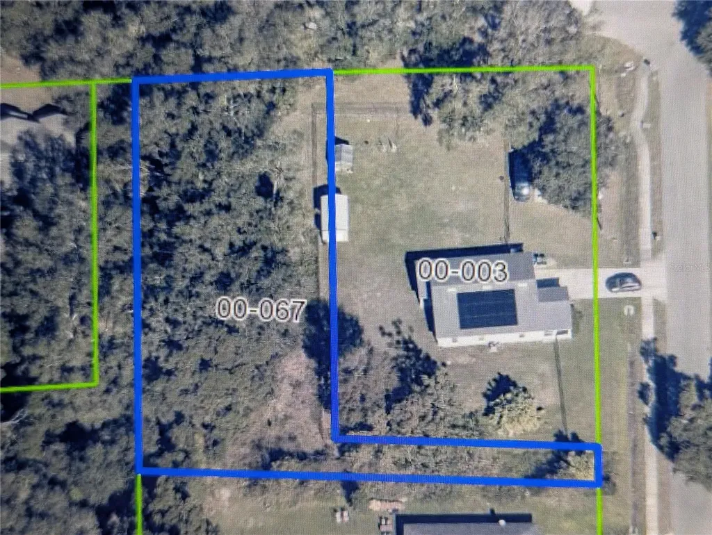 Holly Street Mount Dora FL 32757