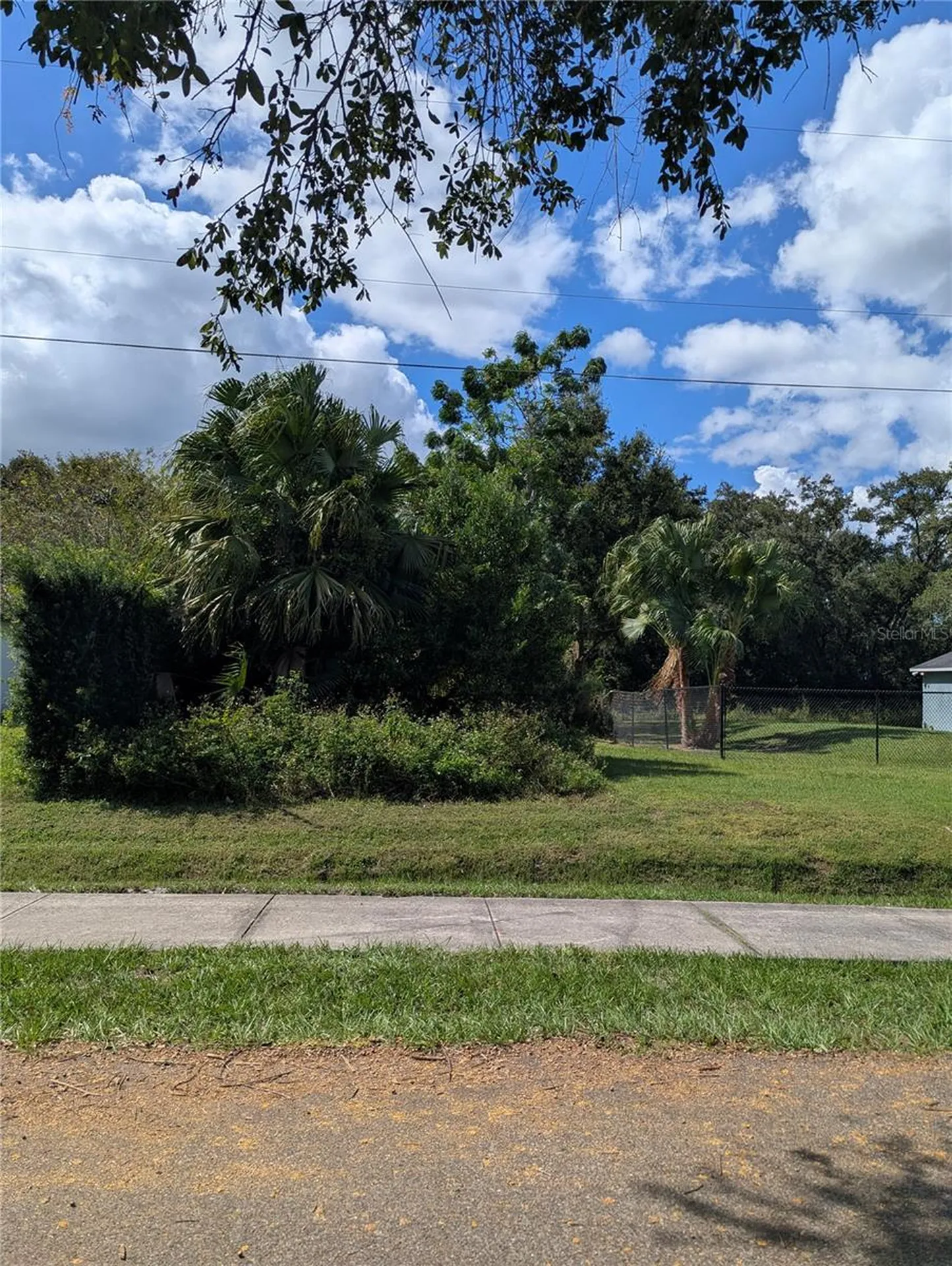 Holly Street Mount Dora FL 32757