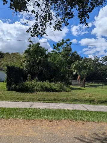 Holly Street Mount Dora FL 32757