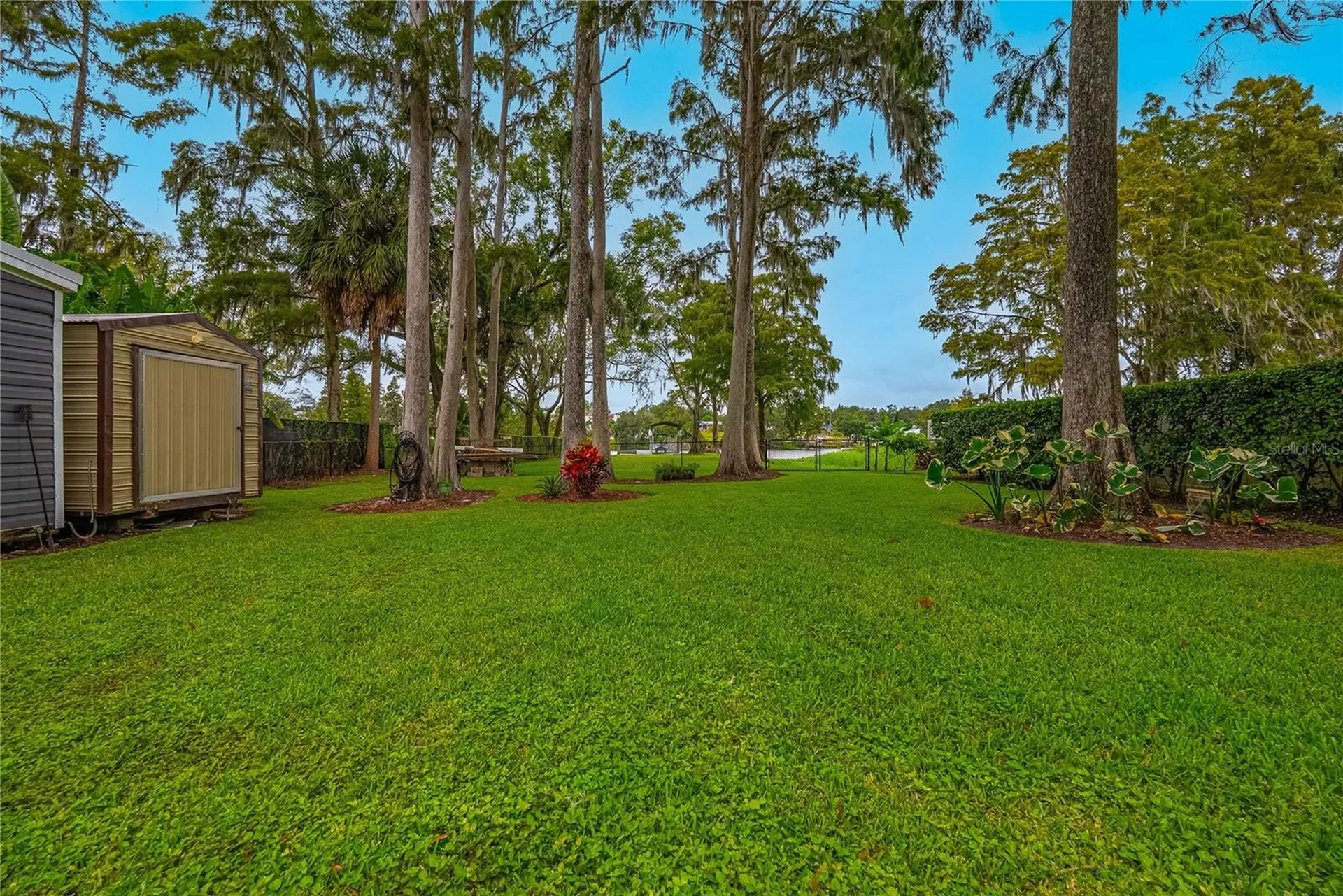 8020 Sharon Drive Tampa FL 33617