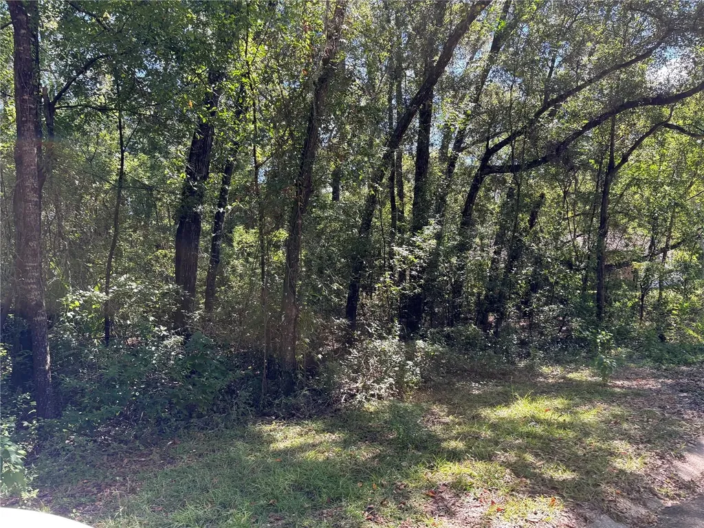 1222 Clover Terrace Inverness FL 34452