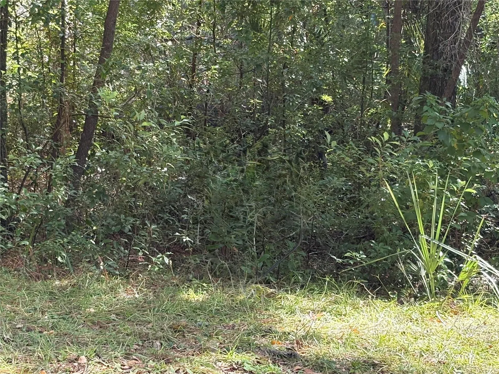 1222 Clover Terrace Inverness FL 34452