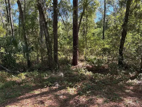 1222 Clover Terrace Inverness FL 34452