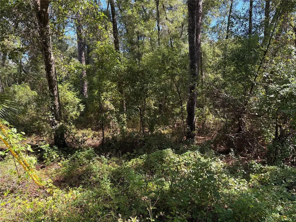 1228 Clover Terrace Inverness FL 34452