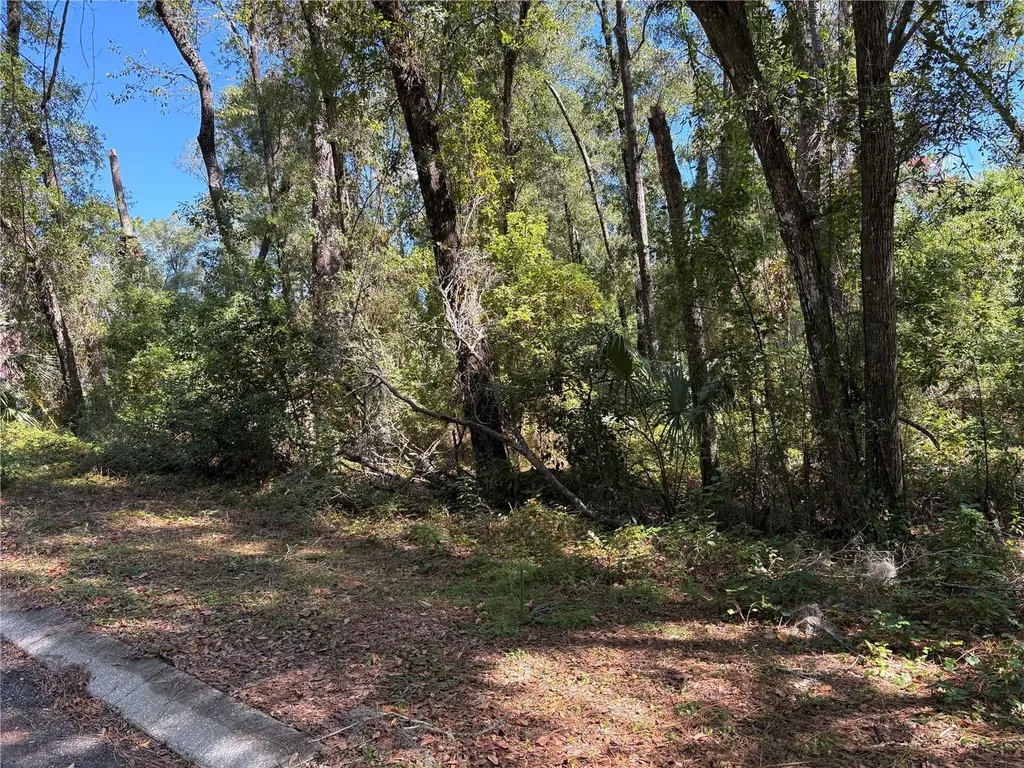 1228 Clover Terrace Inverness FL 34452