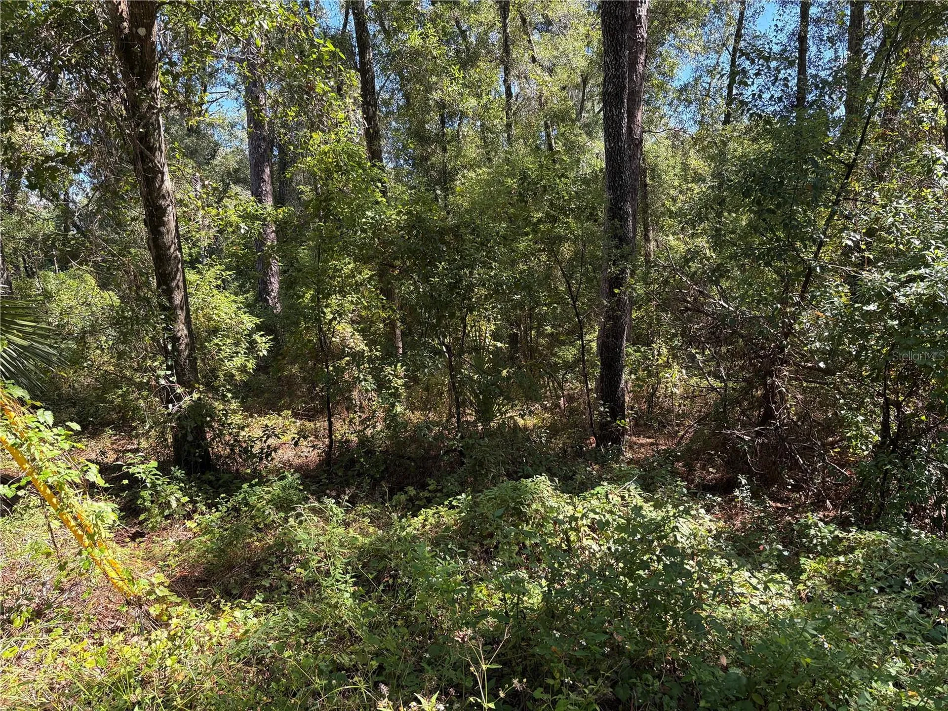 1228 Clover Terrace Inverness FL 34452