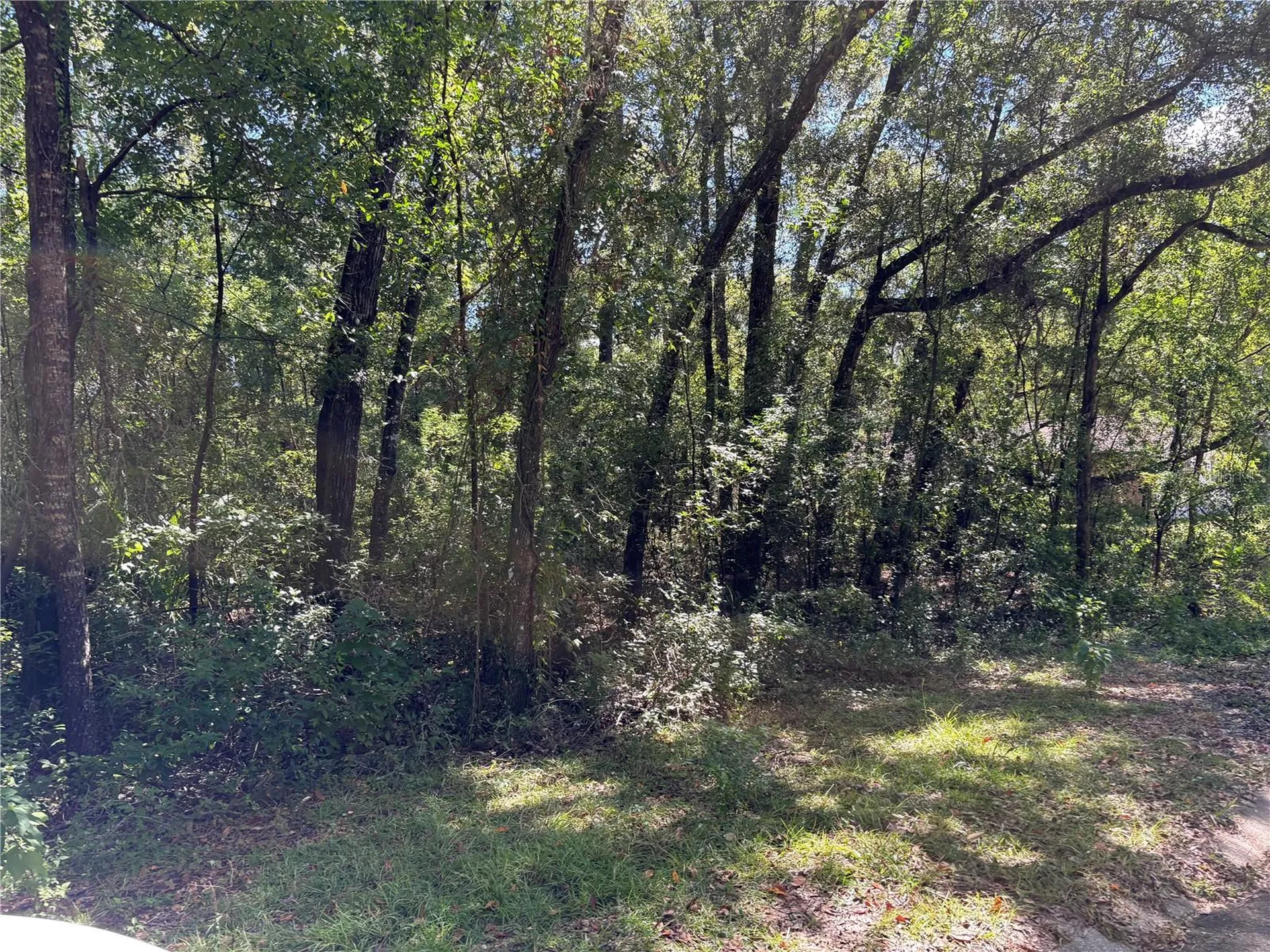 1228 Clover Terrace Inverness FL 34452