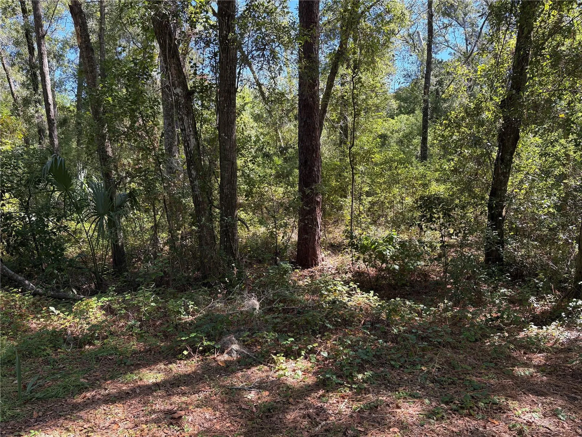 1228 Clover Terrace Inverness FL 34452