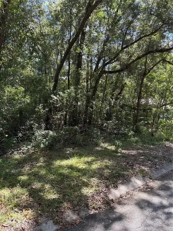 1228 Clover Terrace Inverness FL 34452