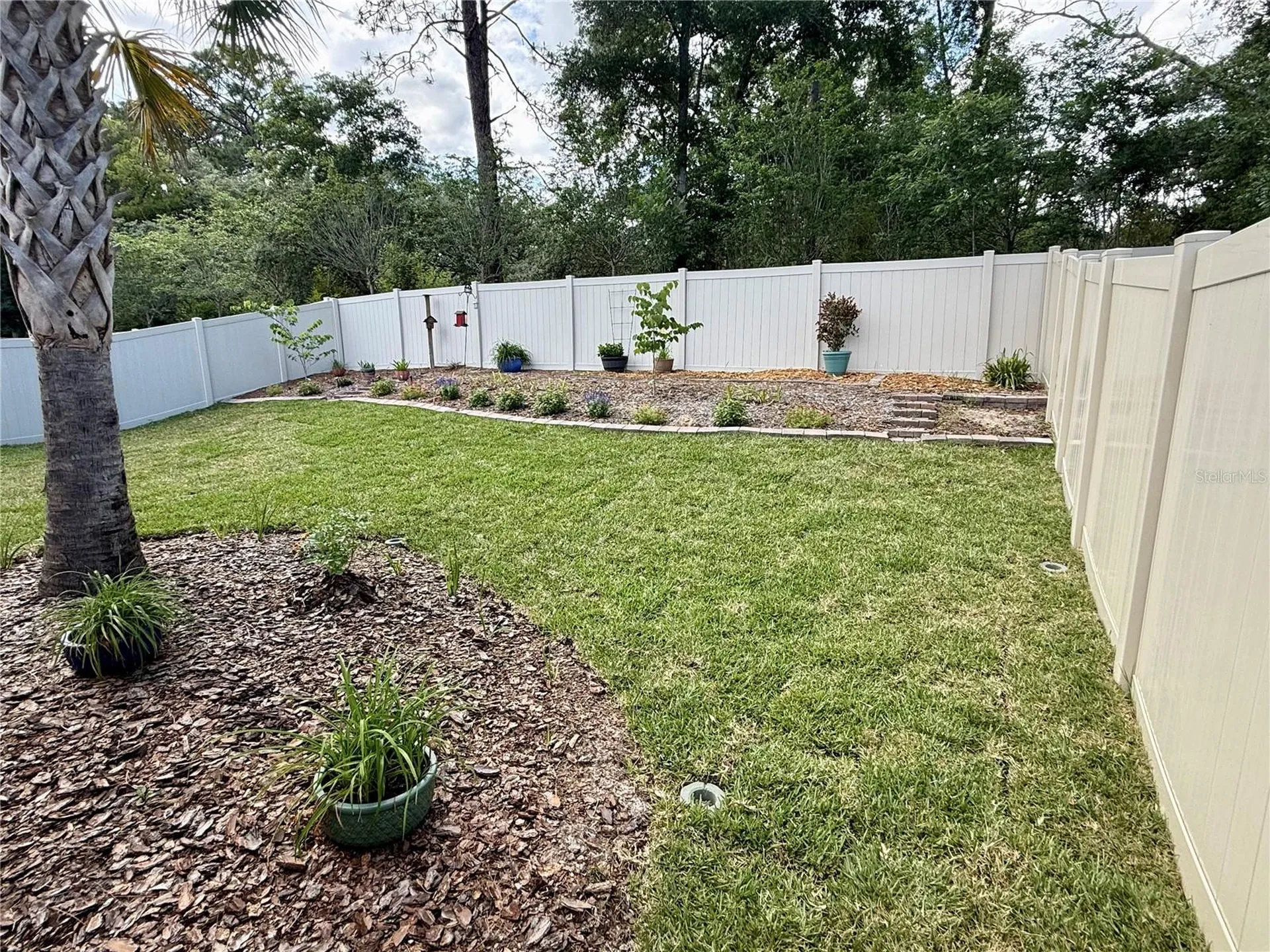 2024 Canopy Terrace Boulevard Deland FL 32724