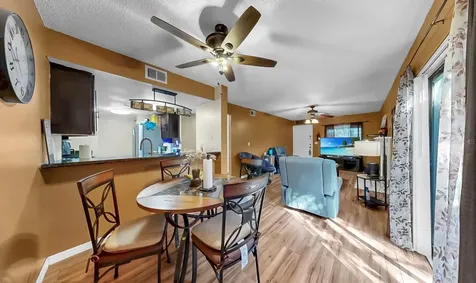 4036 Angel Oak Court Tampa FL 33613