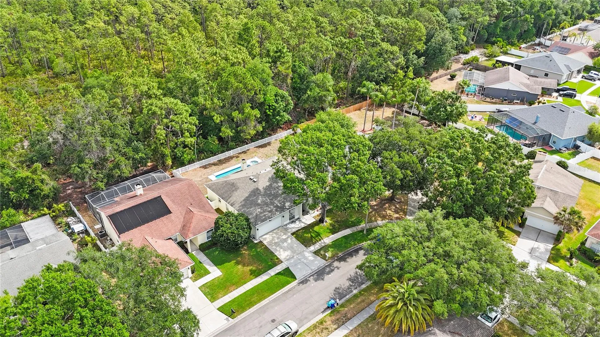 18520 Ambly Lane Tampa FL 33647
